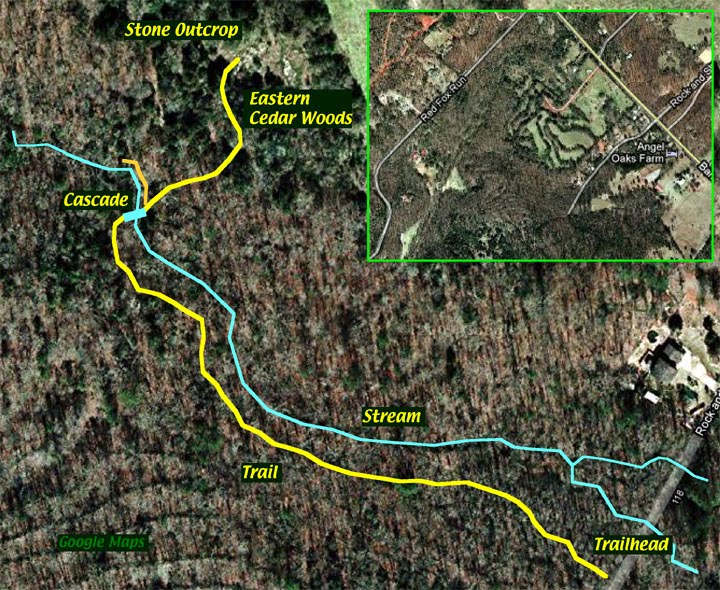 Image Top hiking trails in athens, ga. Anybody Seen My Focus Rock And Shoals Outcrop Natural Area Blue Trail