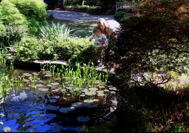 The best garden holidays in the uk, europe and beyond, including garden tours with tv stars adam frost and christine walkden. The Piedmont Gardeners