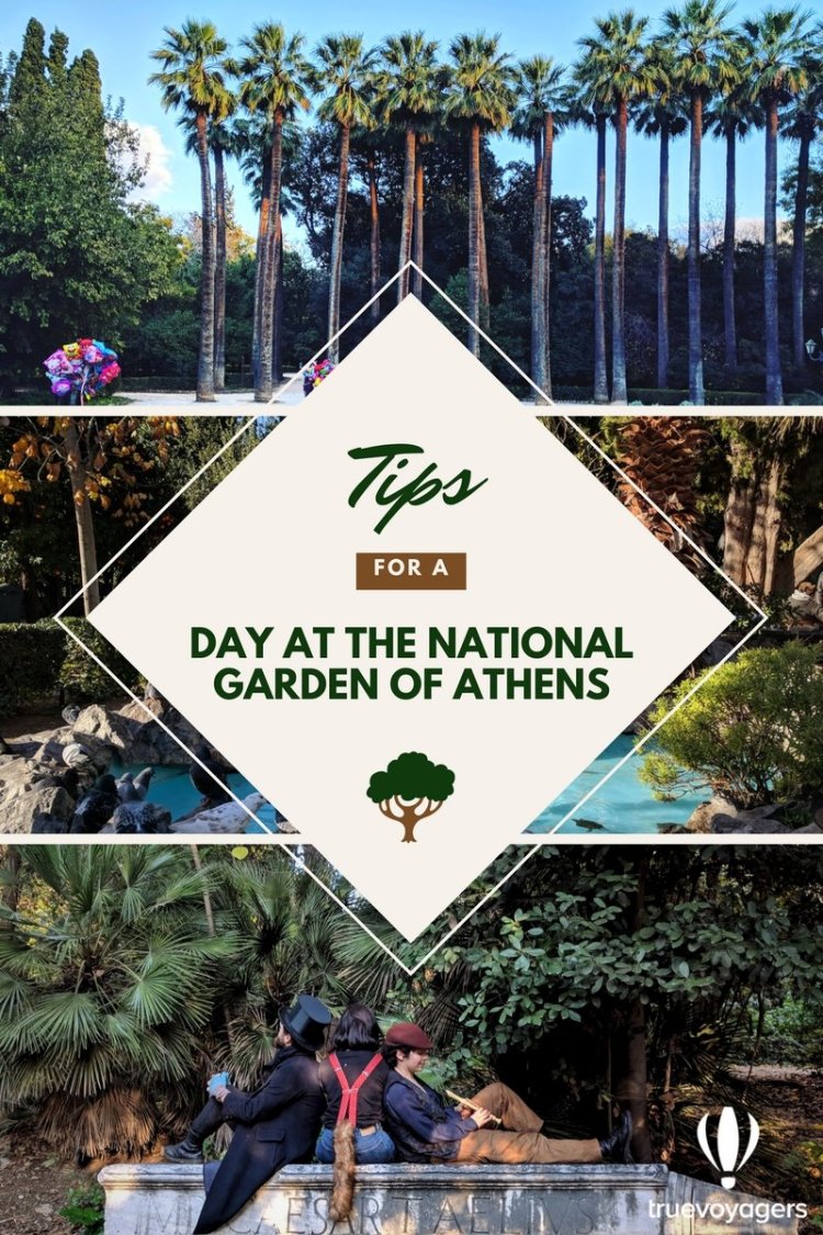 Garden tours are great opportunities to take in ideas to use in your own garden. A Day At The National Garden Of Athens Truevoyagers